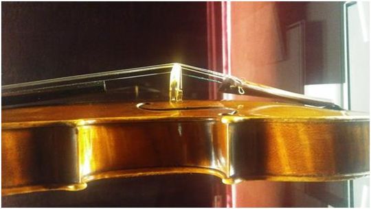  Il Cremonese, de A. Stradivari, construido en 1715. Observación de la estructura, proporción y diseño de la f, la bóveda, aros y bordes. 